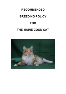 recommended breeding policy for the maine