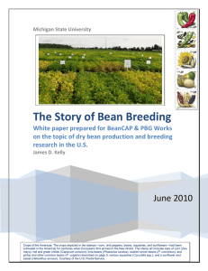 The Story of Bean Breeding - Dry Bean Breeding and Genetics