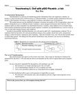 Transforming E. Coli with pGLO Plasmids, a Lab