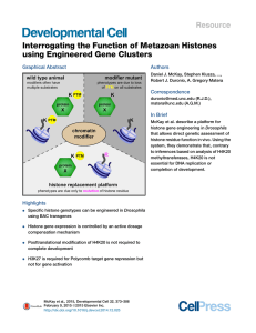Interrogating the Function of Metazoan Histones using