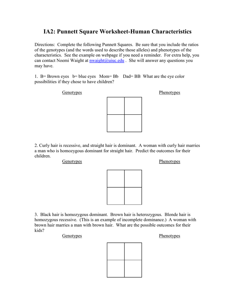Worksheets Punnett Square Practice Worksheet With Answers ia2 punnett square worksheet
