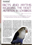 facts and myths regarding the violet mutation in lovebirds