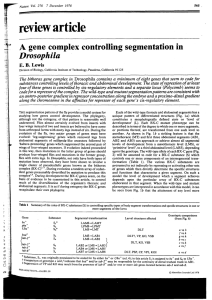 A gene complex controlling segmentation in Drosophila