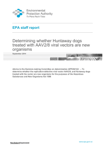 Determining whether Huntaway dogs treated with AAV2/8 viral