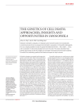 the genetics of cell death - the Guo Lab!