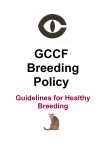 GCCF Breeding Policy - The Governing Council of the Cat Fancy