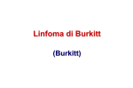 Linfoma di Burkitt (L-B)
