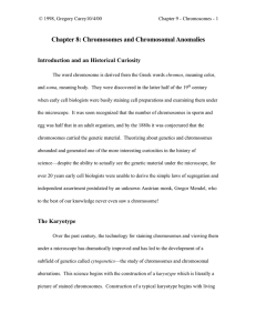 Chapter 8: Chromosomes and Chromosomal Anomalies