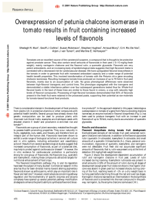 Overexpression of petunia chalcone isomerase in tomato results in