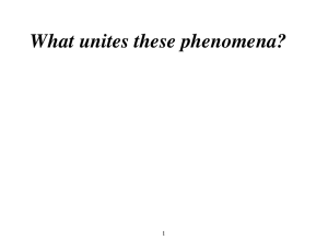 What unites these phenomena?