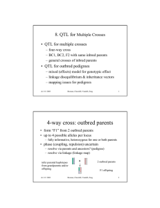 4-way cross: outbred parents