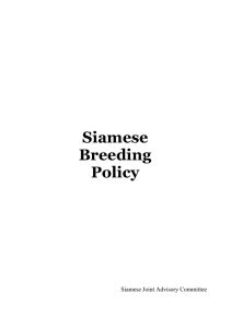 Siamese Breeding Policy - Seal Point Siamese Cat Club