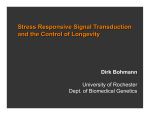 Stress Responsive Signal Transduction and the Control of Longevity Dirk Bohmann