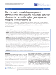 The chromatin remodelling component SMARCB1/INI1 influences the metastatic behavior