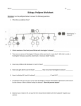 Biology: Pedigree Worksheet