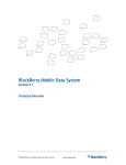BlackBerry Mobile Data System