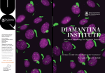 Annual Report 2008 - Diamantina Institute