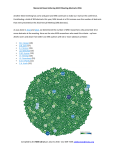 PDF file - MSK Library - Memorial Sloan Kettering Cancer Center