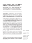 Promoter methylation of p16, Runx3, DAPK and