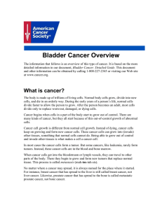 Bladder Cancer Overview
