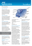 Prostatitis - Andrology Australia