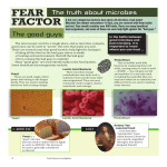 Fear Factor: The Truth about Microbes