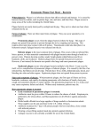 Pneumonic Plague Fact Sheet – Bacteria