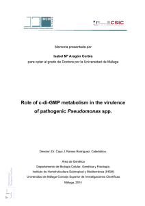 Role of c-di-GMP metabolism in the virulence of pathogenic