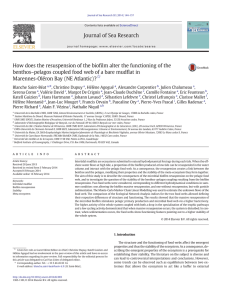 How does the resuspension of the biofilm alter the functioning of the