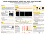 Isolation and identification of viral DNA from