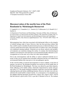 Bioconservation of the marble base of the Pietà Rondanini by