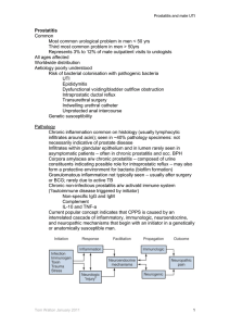 Prostatitis and male UTI