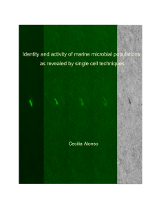 Identity and activity of marine microbial populations as