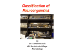 Classification of Microorganisms Classification of Microorganisms