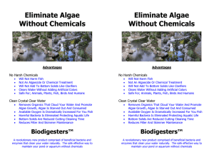 Eliminate Algae Without Chemicals - Bio