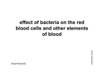 effect of bacteria on the red blood cells and other elements of blood