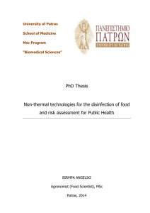 PhD Thesis Non-thermal technologies for the disinfection of food