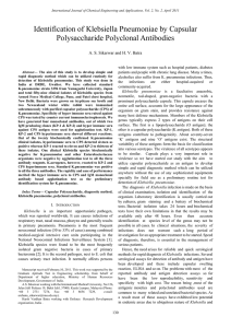 Identification of Klebsiella Pneumoniae by Capsular Polysaccharide