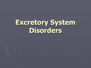 Excretory System Disorders