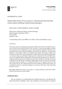 Antimicrobial activity of Ficus sycomorus L.