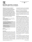 Biocatalytic degradation of pollutants