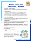 Bacillus Cereus Food Intoxication / Infection