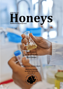 B.SC Project A review on Honeys antibacterial propertiess