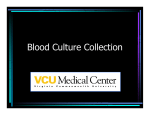 Blood Culture Collection