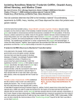 Isolating Hereditary Material: Frederick Griffith