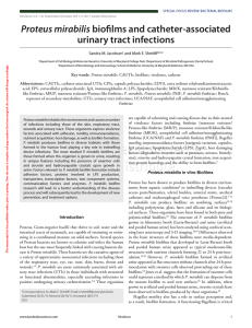 Proteus mirabilis urinary tract infections Sandra m. Jacobsen and mark e. Shirtliff