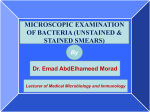 MICROSCOPIC EXAMINATION OF BACTERIA (UNSTAINED &amp; STAINED SMEARS) By