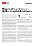 Measuring the mechanics of biofilms at multiple lengthscales