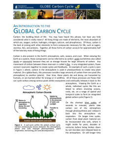 global carbon cycle - Globe Carbon Cycle