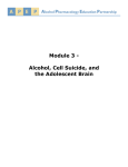 Module 3 - Alcohol, Cell Suicide, and the Adolescent